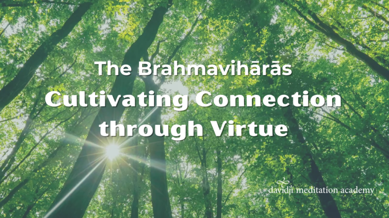 Brahmaviharas online course graphic